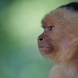 Costa Rica 2015